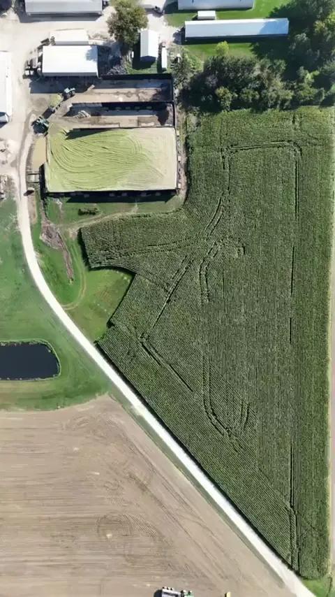 This overhead timelapse of corn being harvested
