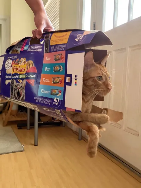 Check out my new suitcase