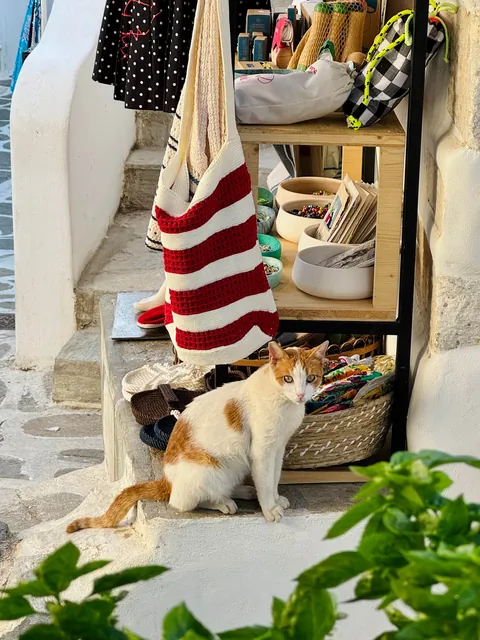 Naxos, Paros &amp; Athens (Greece)