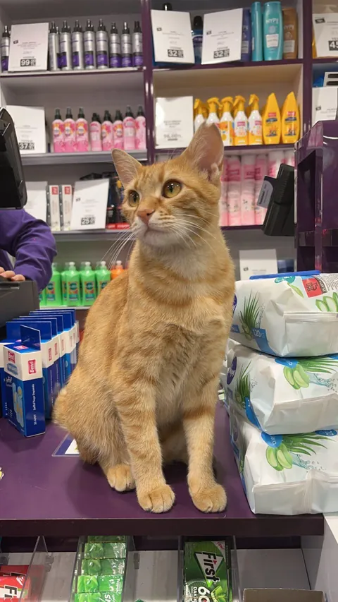 New employee still needs training