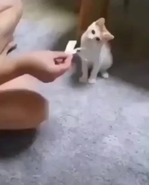 It's the hand that has been blessed by Satan