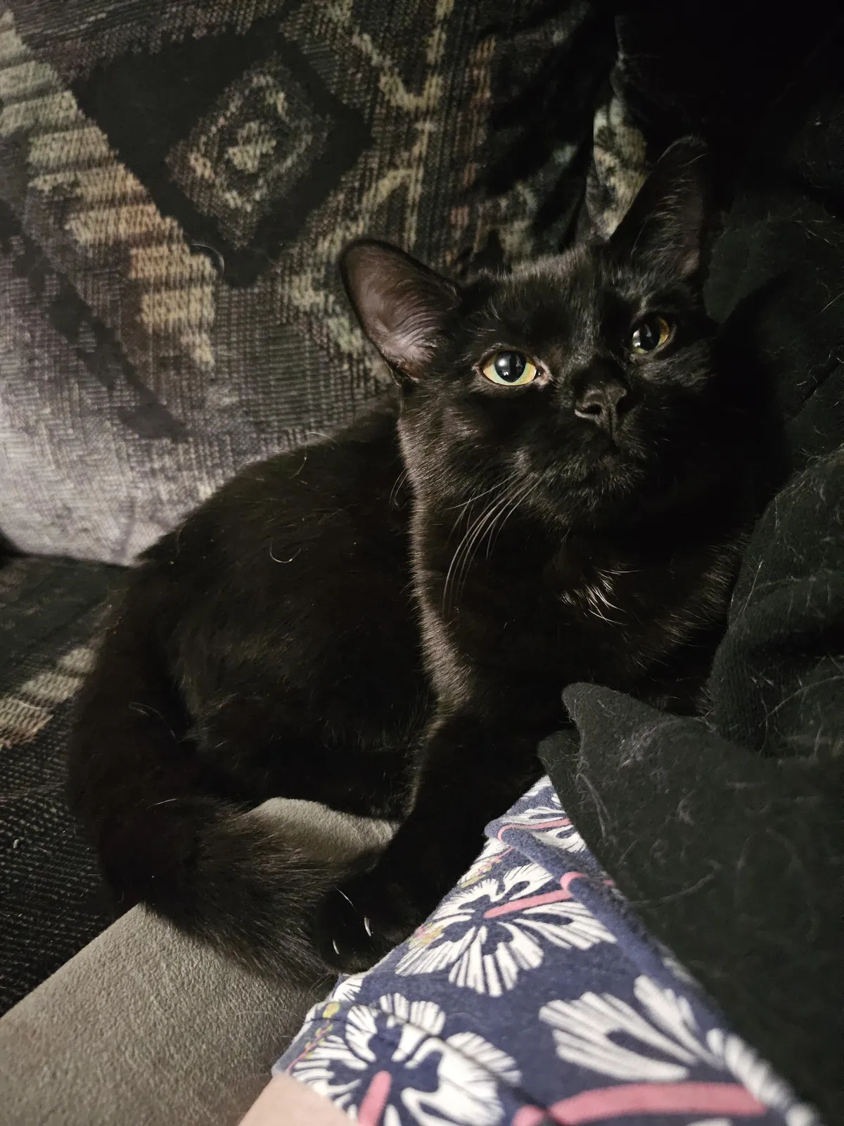 She always curls up against me like this and it's just the cutest thing ever