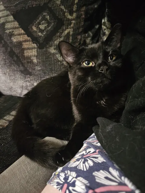 She always curls up against me like this and it's just the cutest thing ever