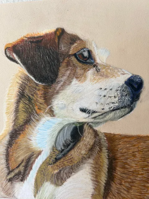 I drew my girl with pastel pencils! What do you think?