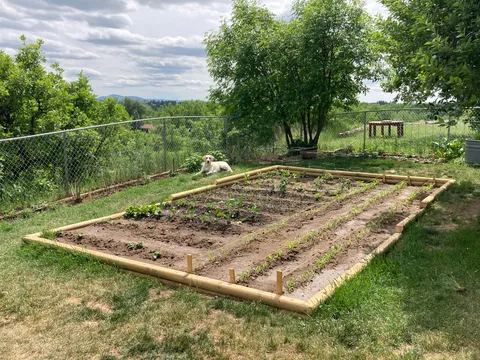 One shovel and a million beers later.