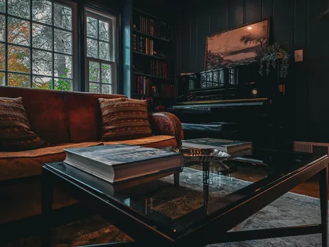 Our home library (+Living room built-ins)