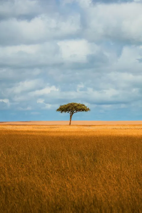 Simplicity in the Serengeti, Tanzania [OC][1353x2030]