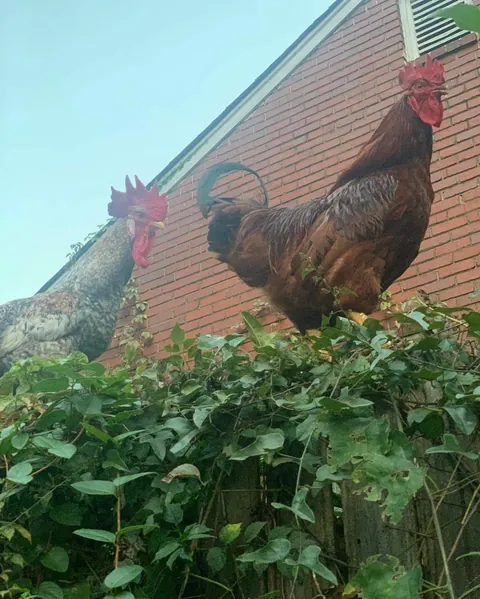 my first home and favorite place to be