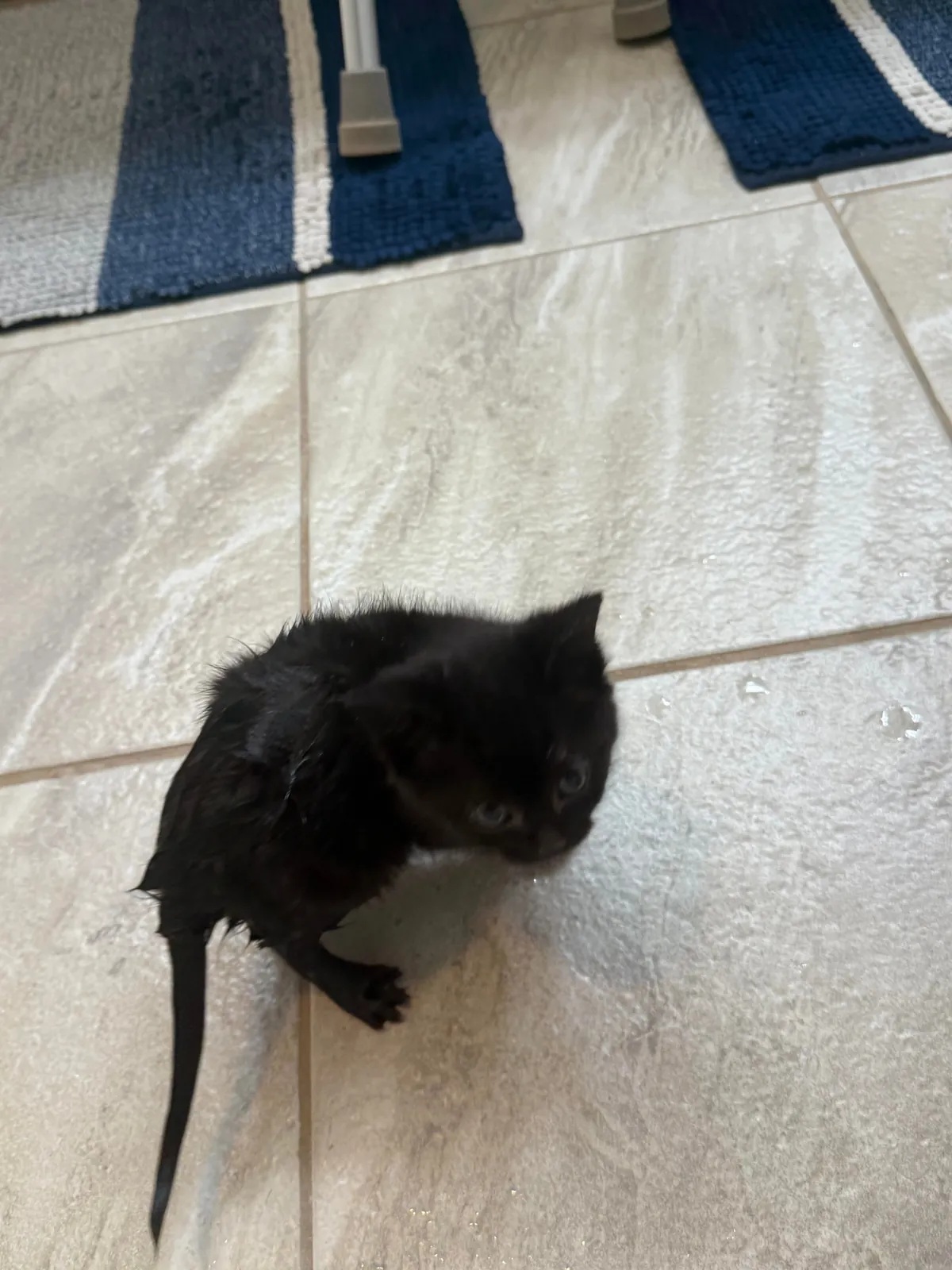 Bobbi has never in her 7 months of life let her hatred of water get in the way of her clinginess.