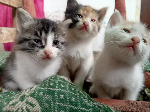 found these in my garage🥺