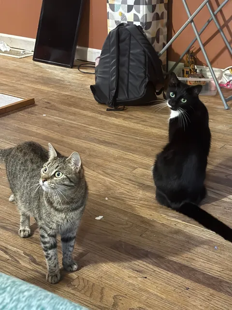 Why is she so short? She’s 1 years old now.