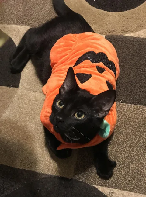 Everyone send my baby good vibes! 