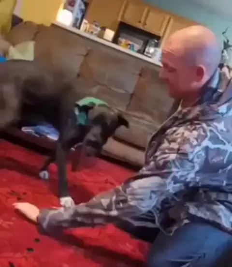 The dog's surprised face when he thought he took his owner's arm