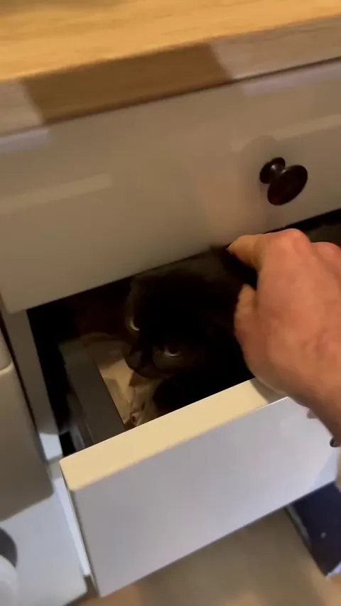 lil toothless got caught redhanded