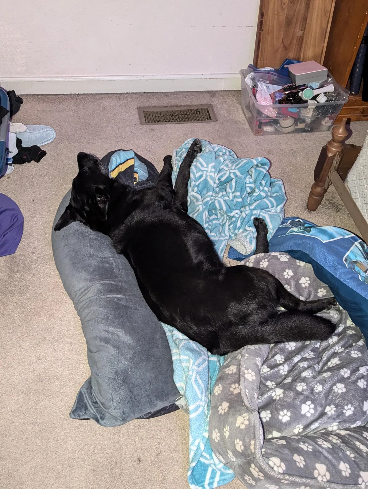 My brother thinks I'm spoiling his baby too much