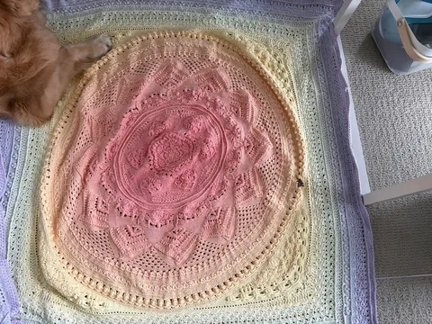 Spent one year making a blanket and the cat ate it last night