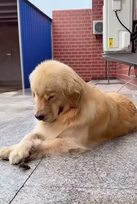 Didn’t expect that