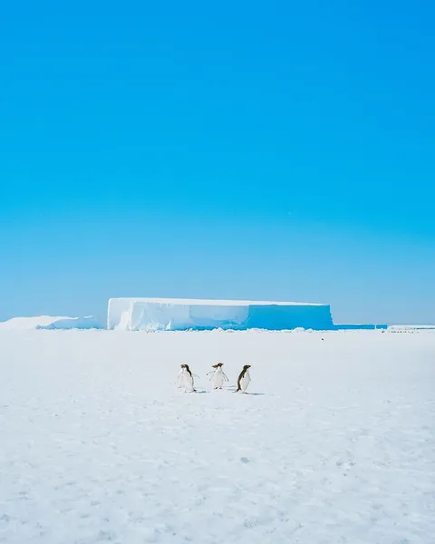 Traveling with Lindblad in Antarctica