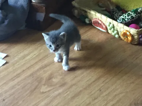 Rick then and now, 8 years later 😻