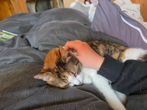 My best friend went missing 9 days ago