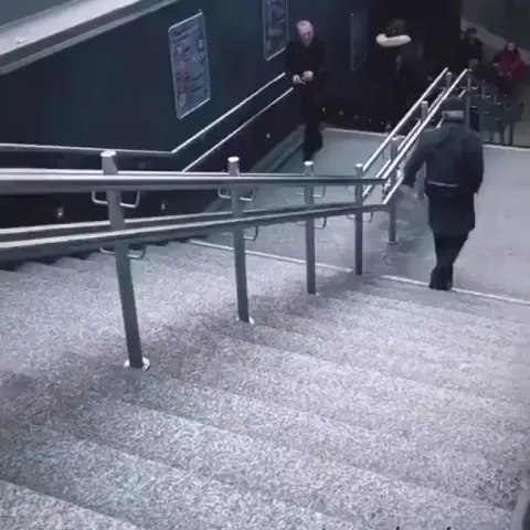 Dog makes his own fun.