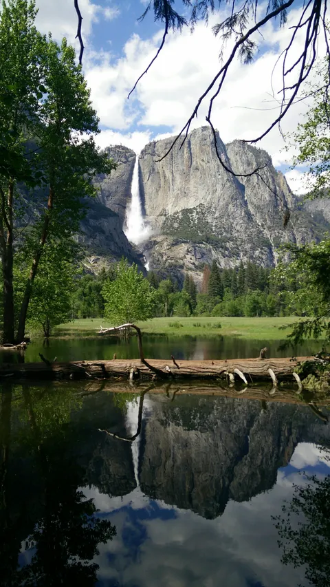 Is Yosemite cheating? My first time seeing mountains and a waterfall like this. [2340x4160][OC]