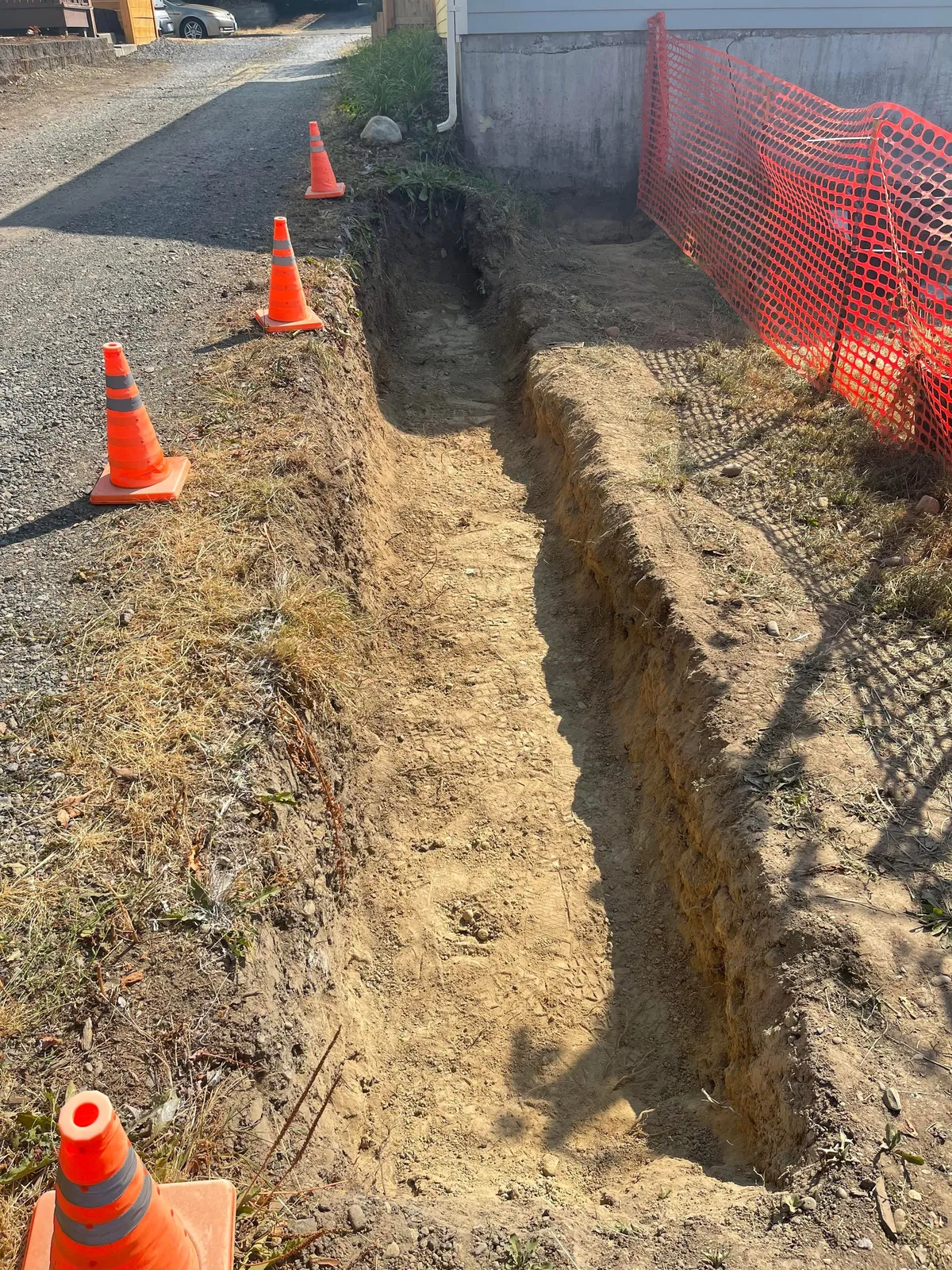 A few years ago my rotting fence fell over so I decided to build it back better.