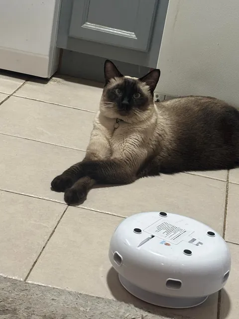 He was left in the toaster a little too long.