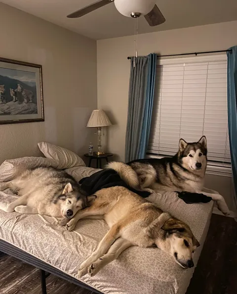 What, mom? We left you plenty of room!