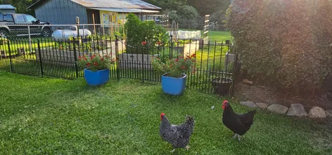 My Wife's Raised Bed Garden Over the Years