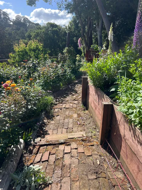 If you love your garden, it’ll love you back (Pt 2)