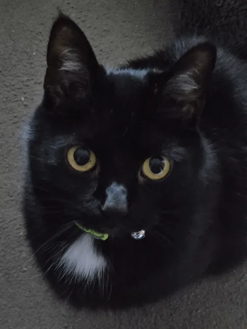 My mother's slippers, I've had so many conversations with them thinking they're my void