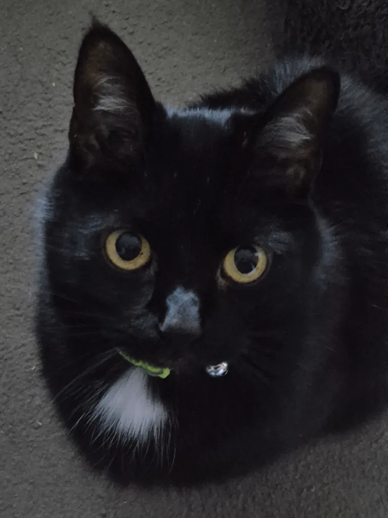 My mother's slippers, I've had so many conversations with them thinking they're my void