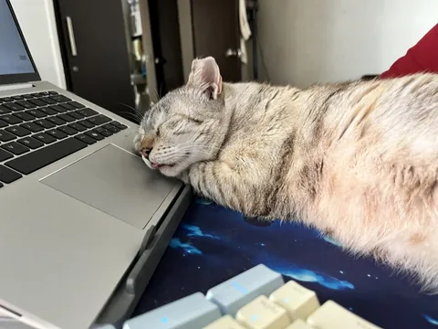 Asleep on the job