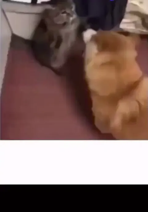 He is recharging after every slap