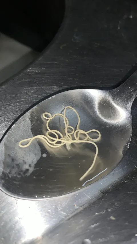 This creature was in my lettuce..