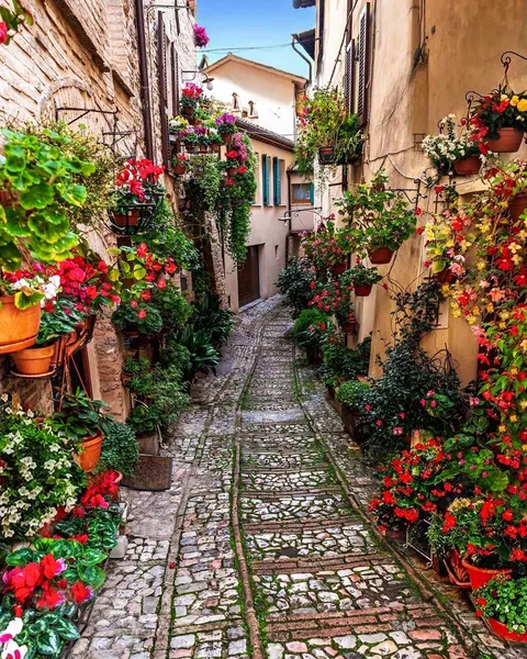 An alley in Italy