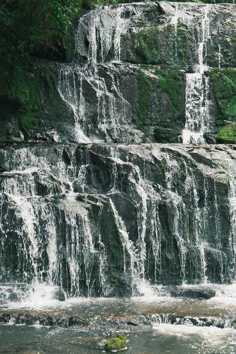 First days in New Zealand: The Catlins