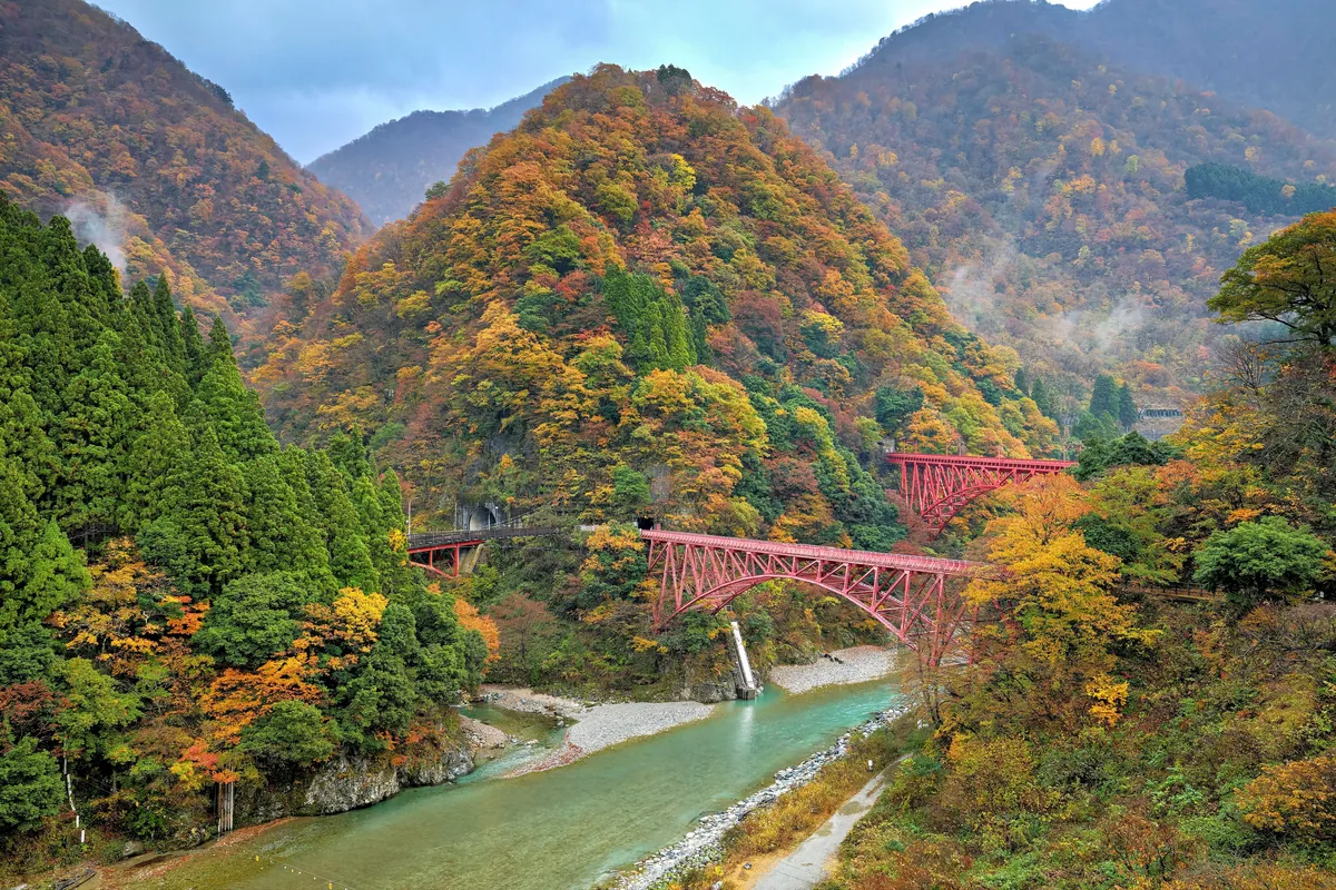 Fall colors in Japan