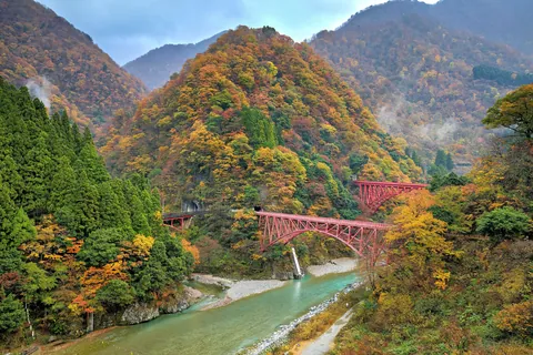 Fall colors in Japan