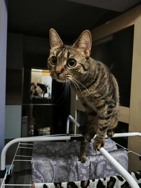 I can't believe she lives with me