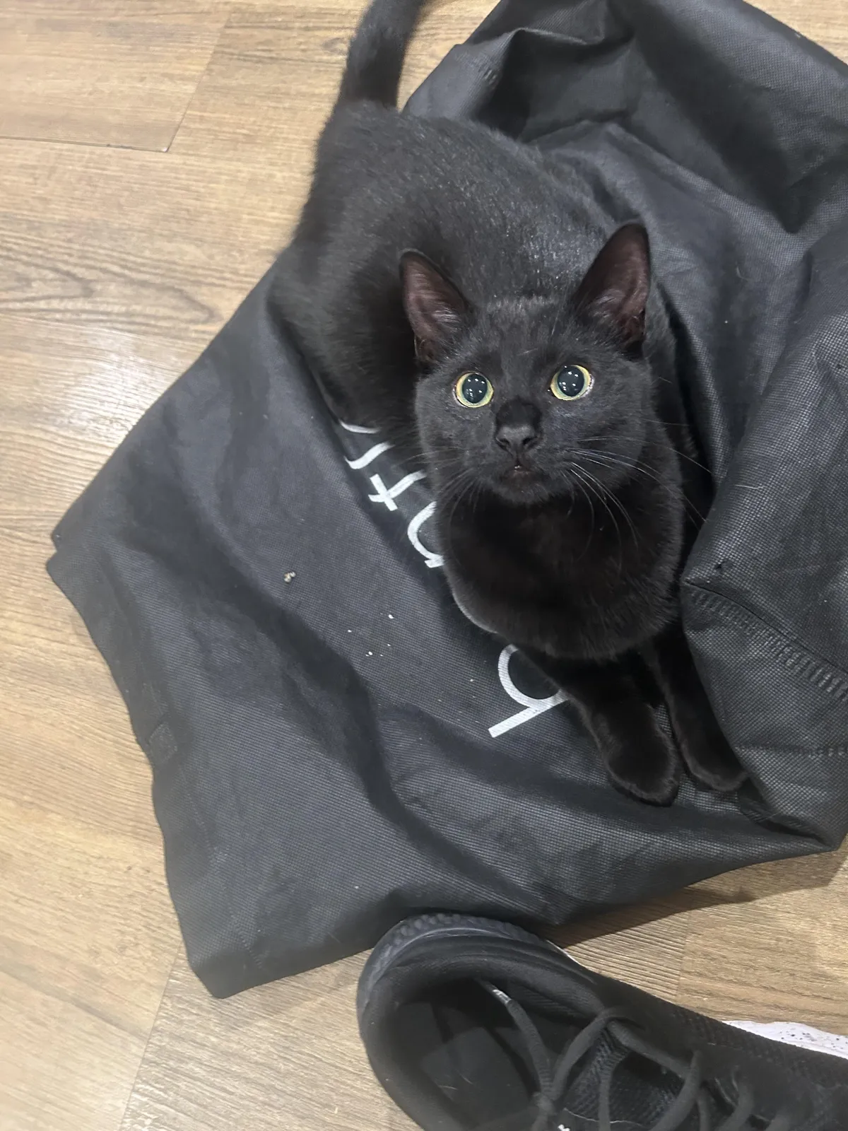 wanted to share my girl 🤍