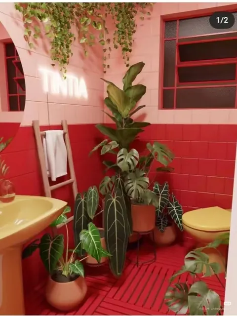 I present you Brazilian house architecture