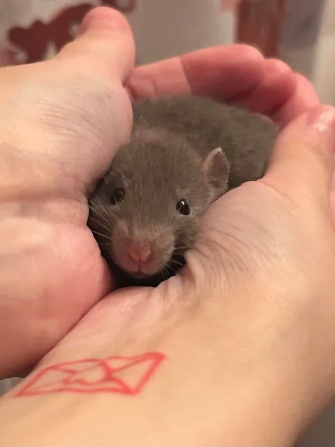 here, it isn't safe to go - take this!