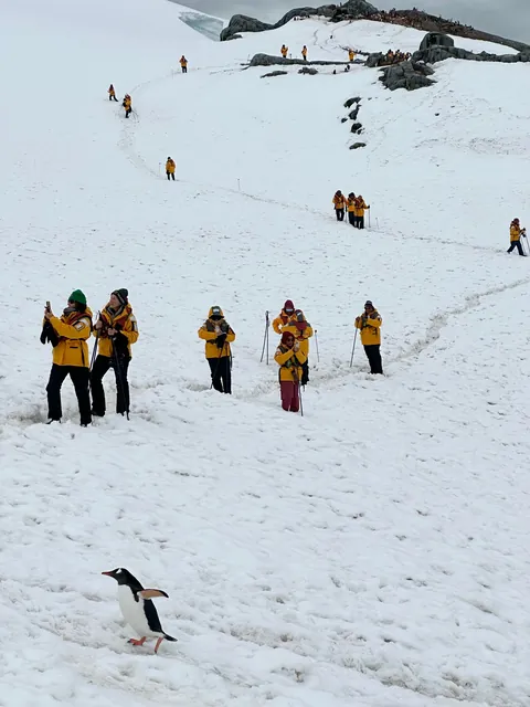 My trip to Antarctica: icebergs, penguins, sleeping on the ice etc.