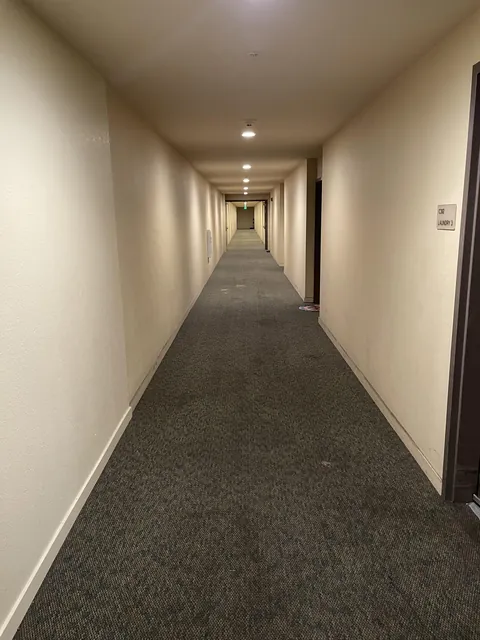 I work a delivery job and I hate getting apartments with hallways like this. How do people live here?! 😭