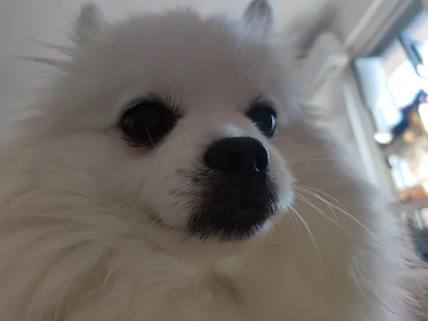 The last thing you eat is what I naming him