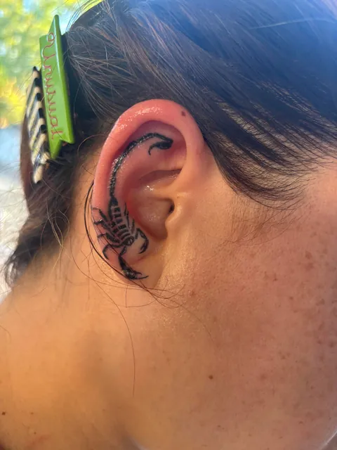 Concept sketches and final result