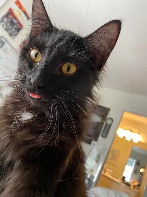 Before and After: Happy First Birthday Maevis!