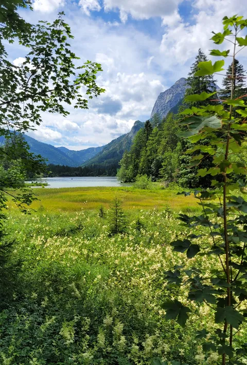 Hintersee in Ramsau bei Berchtesgaden - Bavaria - Germany [2504x3707][OC]